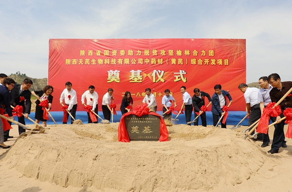 陜煤集團榆林合力產(chǎn)業(yè)扶貧開發(fā)公司中藥材深加工項目落地